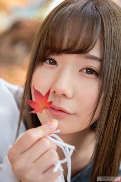 乡村野花香